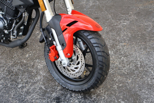 ia_1900000013-1.jpg ia_1900000013-1.jpg