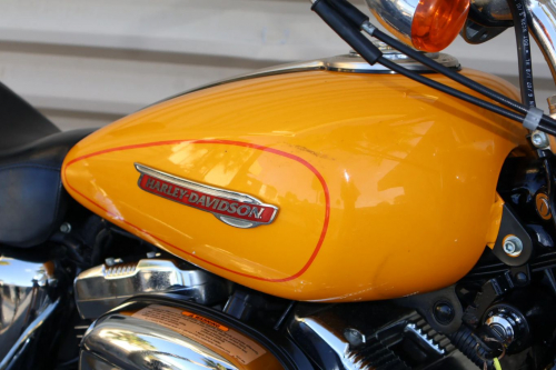 ia_700000020-1.jpg ia_700000020-1.jpg